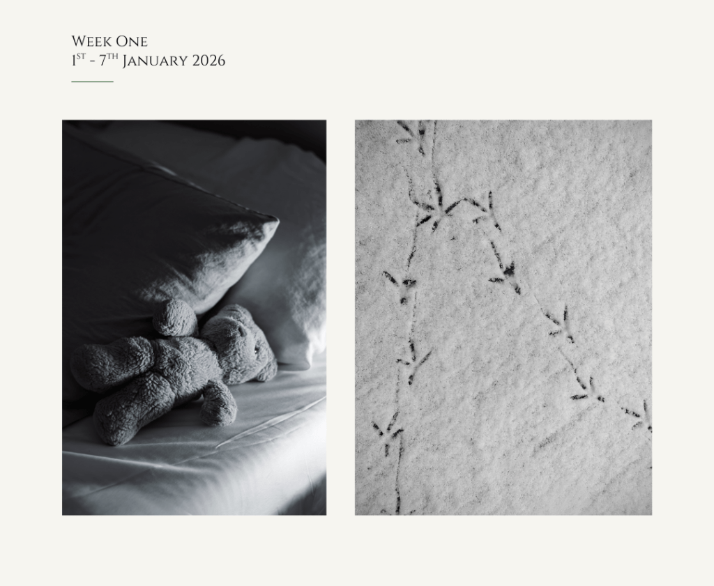 Childhood Companions & Pigeon&nbsp;Tracks