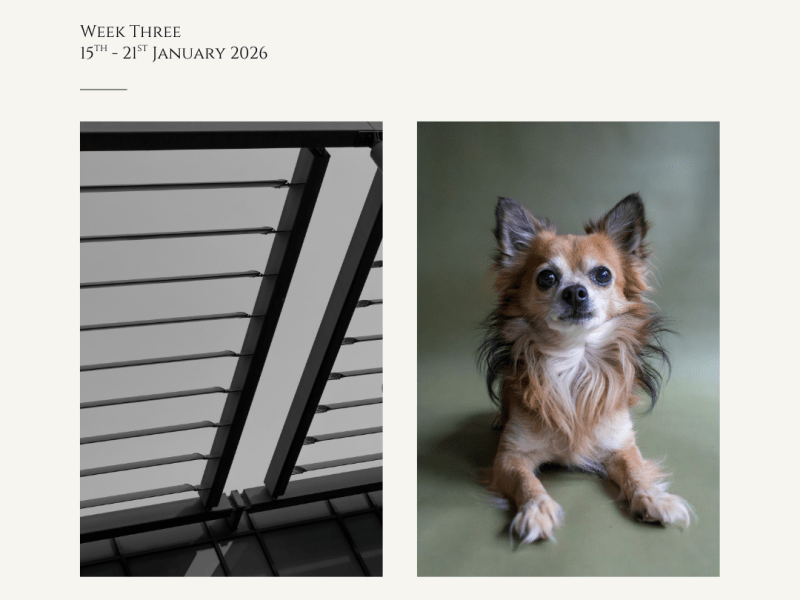 Don’t Look Up & Chasing&nbsp;Dreams