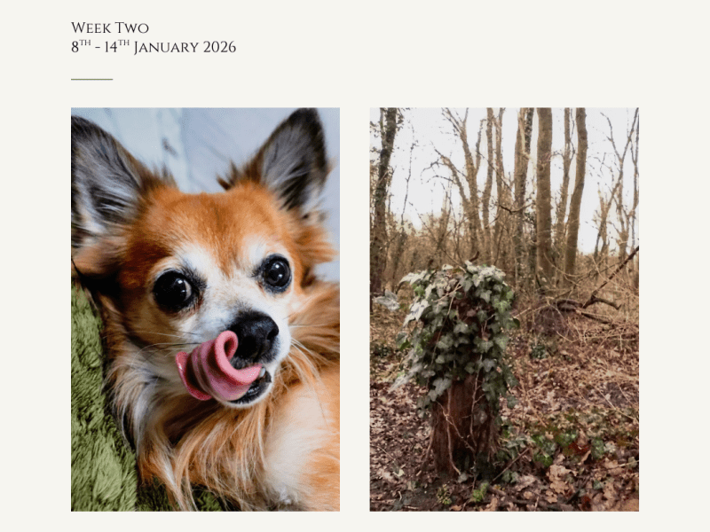 Gimme Gimme Gimme & Standing&nbsp;Tall