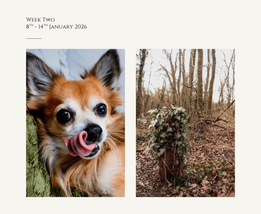 Gimme Gimme Gimme & Standing&nbsp;Tall