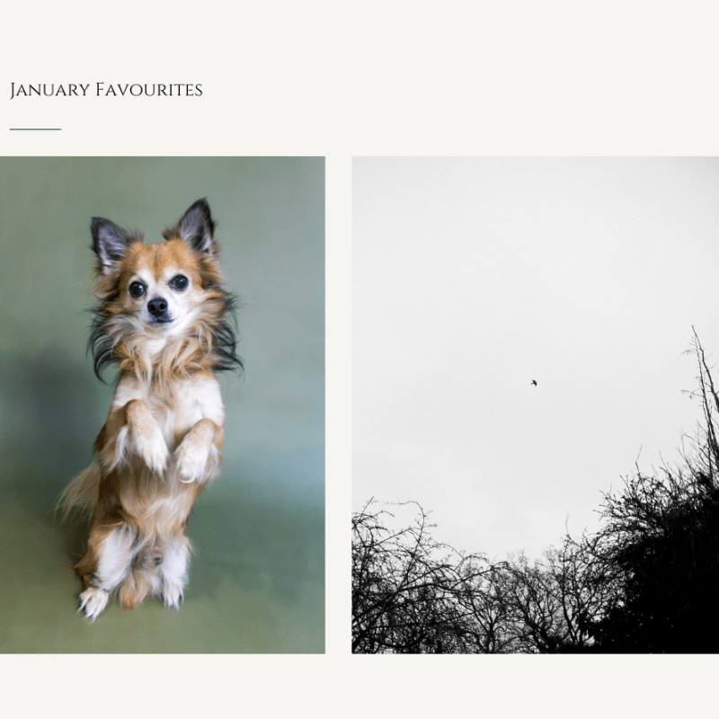 January Favourites