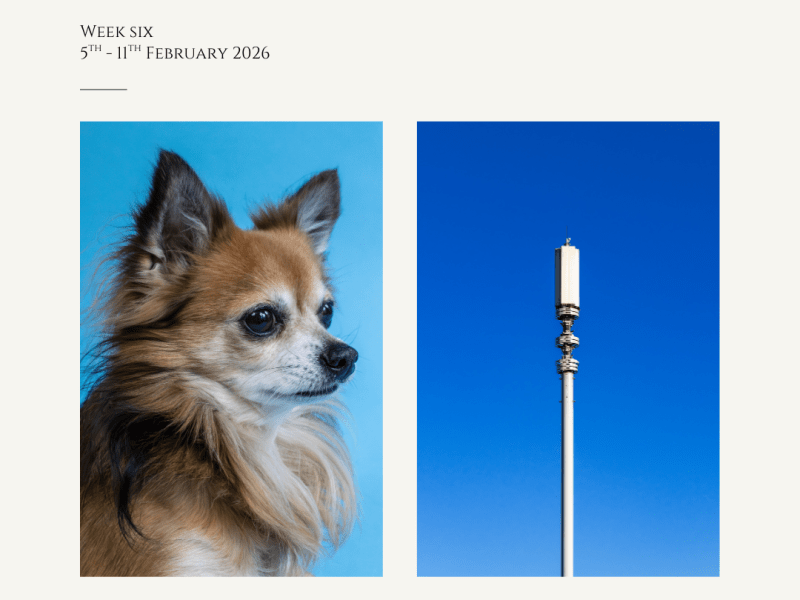 The Start Of Something New & Up In The&nbsp;Sky