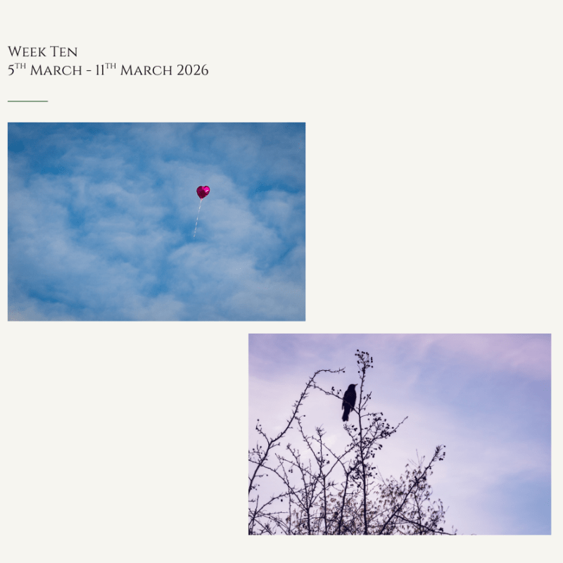 Morning Has Broken & Love Is In The&nbsp;Air