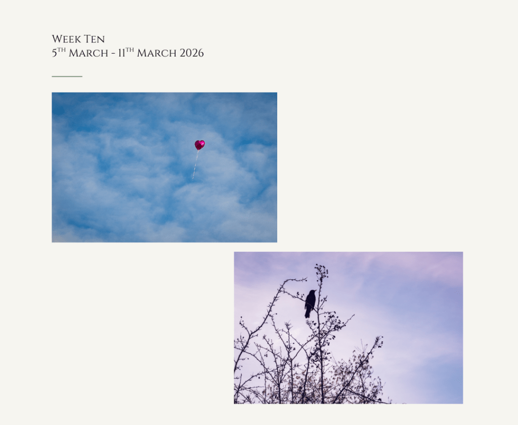 Morning Has Broken & Love Is In The Air